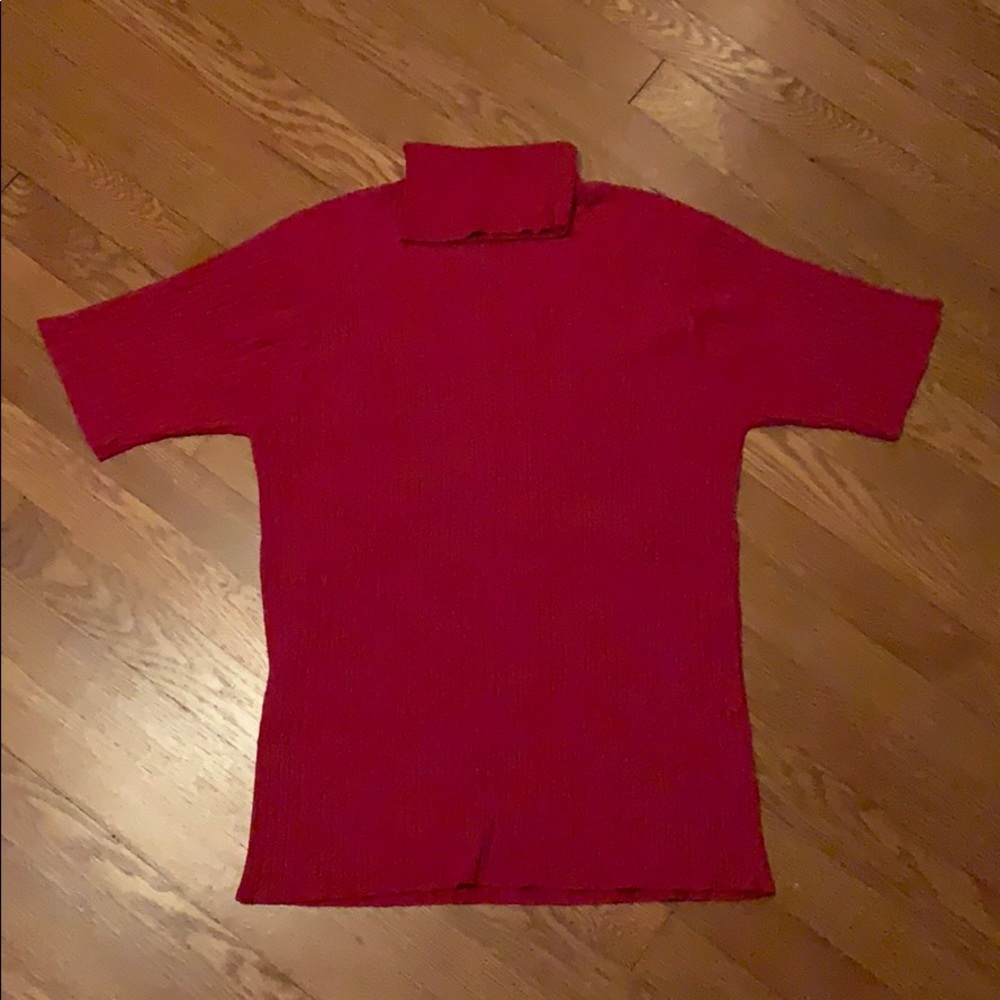 Silk turtle neck